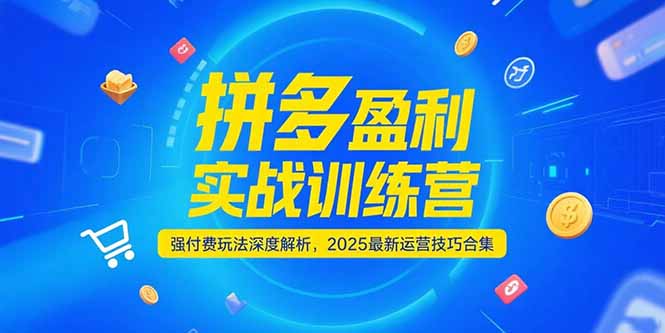 （15183期）拼多多盈利实战训练营，强付费玩法深度解析，2025运营技巧合集-更新6月-云商网创