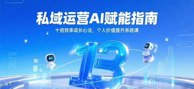 私域运营AI赋能指南，十倍效率成长心法，个人价值提升系统课-云商网创
