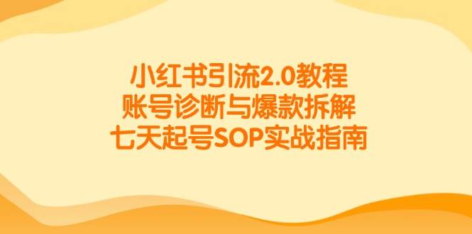 小红书引流2.0教程，账号诊断与爆款拆解，七天起号SOP实战指南-云商网创