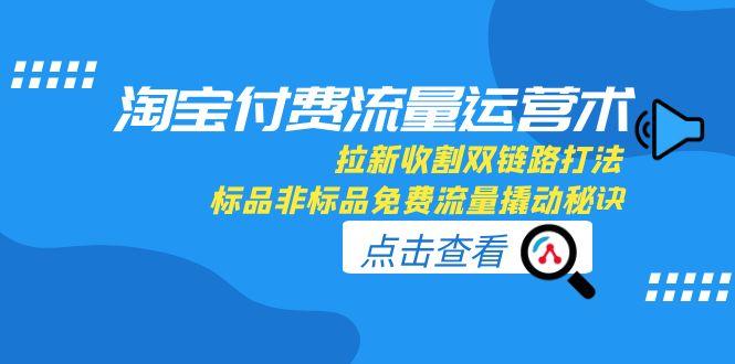 （15135期）淘宝付费流量运营术，拉新收割双链路打法，标品非标品免费流量撬动秘诀-云商网创