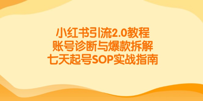 （14981期）小红书引流2.0教程，账号诊断与爆款拆解，七天起号SOP实战指南-云商网创