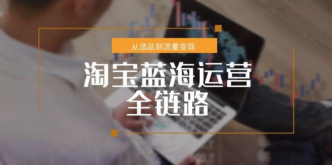 （15160期）淘宝蓝海运营全链路，从选品到流量变现，小类目突围完整方案-云商网创