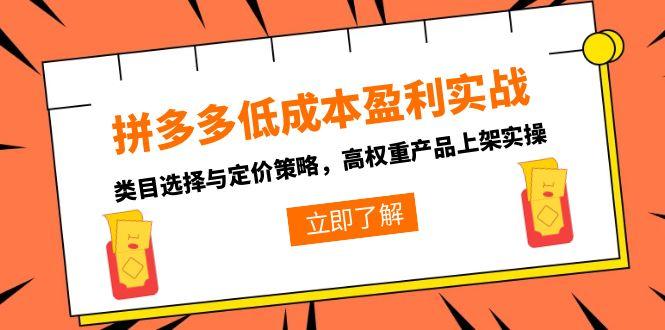 （15143期）拼多多低成本盈利实战，类目选择与定价策略，高权重产品上架实操-云商网创