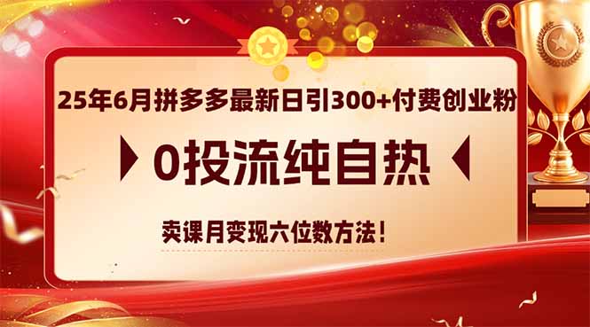 （14989期）25年6月拼多多最新日引300+付费创业粉，0投流纯自热 卖课月变现六位数方法-云商网创