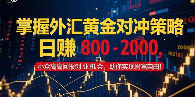 （15198期）掌握外汇黄金对冲策略，日赚 800 – 2000，小众高回报创业机会，助你实…-云商网创