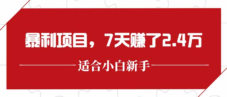 （15228期）最新暴利项目，每单收益轻松在300以上，7天赚了2.4万-云商网创