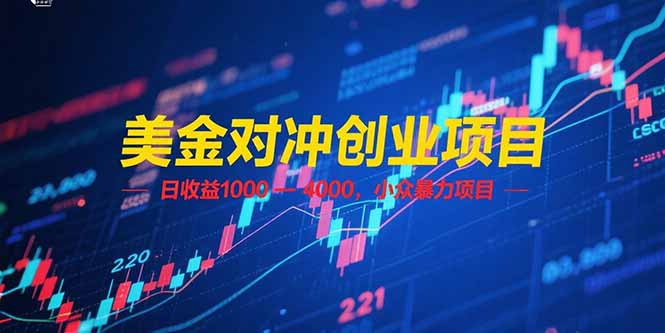 （15187期）美金对冲创业项目，日收益 1000 – 4000，小众暴力项目-云商网创
