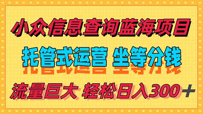 （15216期）稳定日入300＋，小众信息查询蓝海项目，全程懒人式托管，解放你的时间-云商网创