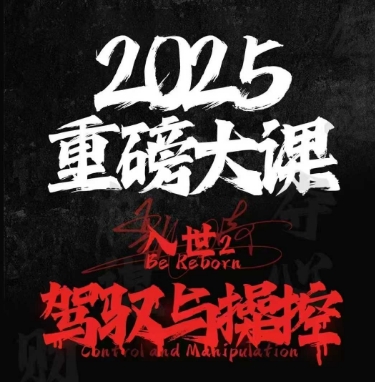 2025重磅大课，入世2，驾驭与控制-云商网创