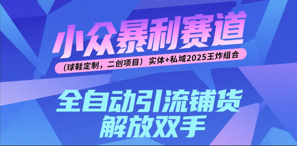 楠—小众暴利赛道（球鞋定制，二创项目）实体+私域2025王炸组合-云商网创