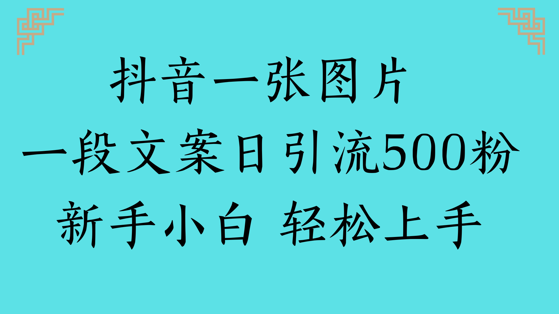 抖音一张图片 一段文案日引流500粉新手小白 轻松上手-云商网创