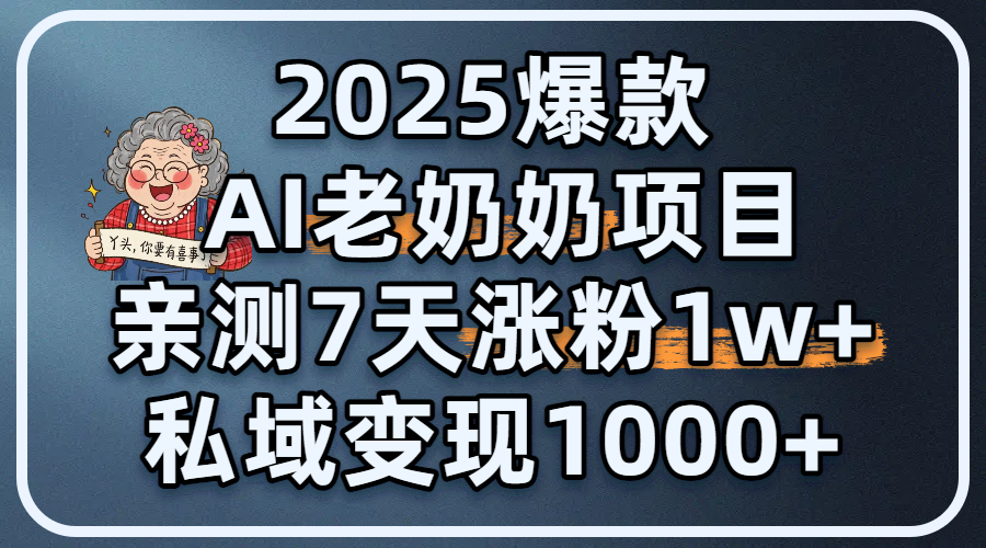 2025爆款 AI 老奶奶项目：亲测 7 天涨粉 1W+，私域变现 1000+-云商网创