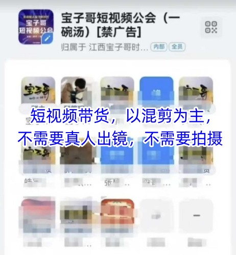 宝子哥头部团队短视频带货，以混剪为主，不需要真人出镜，不需要拍摄【更新】-云商网创