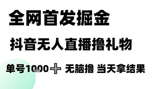 全网首发掘金抖音无人直播撸礼物，单号1k +无脑撸，当天拿结果【揭秘】-云商网创