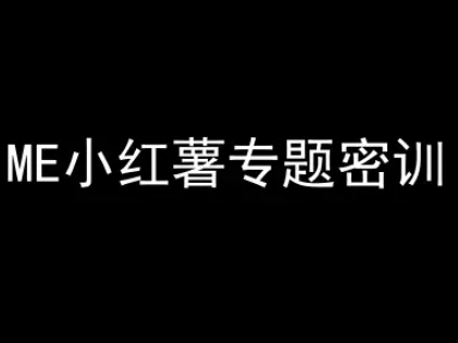 ME小红薯专题密训-小红书电商教程-云商网创