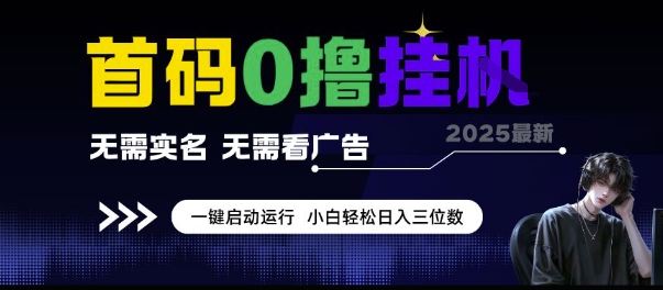 首码0撸挂G项目，无需实名无需看广告 一键启动运行，小白轻松日入三位数【揭秘】-云商网创