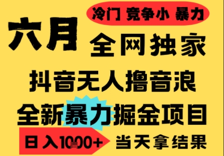 25年6月高爆抖音无人直播最新撸音浪掘金项目，小白可做，无脑日入1k+，门槛低可批量矩阵【揭秘】-云商网创