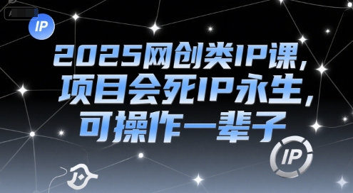 2025网创类IP课，项目会死IP永生，可操作一辈子-云商网创