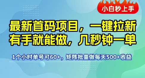 最新首码项目，一键拉新有手就能做，几秒钟一单，1个小时单号可60+，矩阵批量做每天5张【揭秘】-云商网创