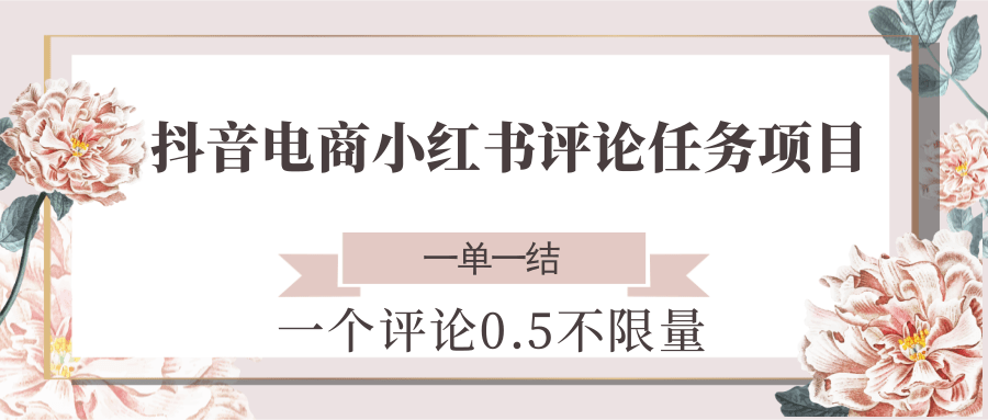 抖音电商小红书评论任务项目，一个评论0.5，一单一结 不限量-云商网创