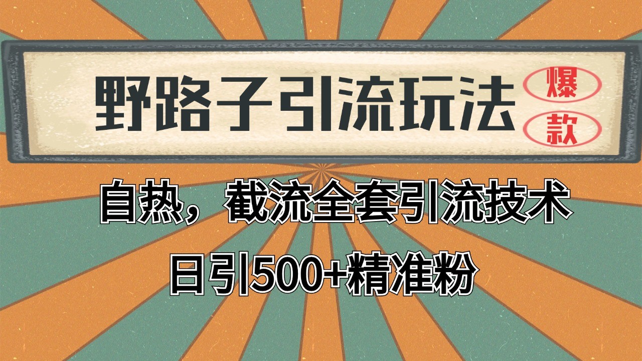 2024首发野路子引流玩法截流自热全平台打法，全自动引流【日引2000+精准客户】-云商网创