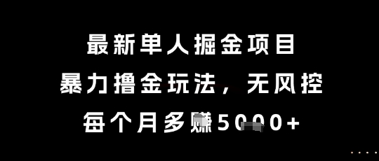 最新单人掘金项目，暴力撸金玩法，无风控，每个月多挣5k+【揭秘】-云商网创