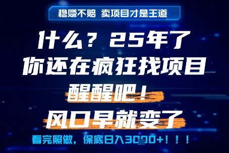 什么？25年你还在疯狂找项目做，醒醒吧，看完这些你全都懂了！【揭秘】-云商网创