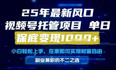 25年最新风口，视频号托管项目，单日保底变现1k+，手把手教学【揭秘】-云商网创