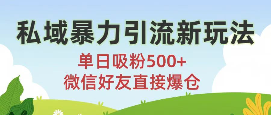 私域暴力引流新玩法!单日吸粉500+，微信好友直接爆仓-云商网创