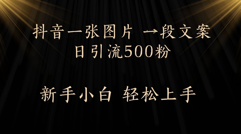 抖音一张图片，一段文案日引流500粉，新手小白 轻松上手-云商网创