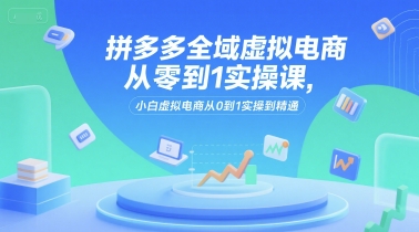 拼多多全域虚拟电商从零到1实操课，小白虚拟电商从0到1实操到精通-云商网创