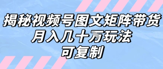 解密视频号图文矩阵带货，月入几个W的打法，可复制-云商网创