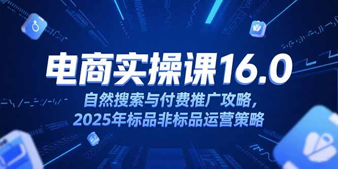 （15262期）淘宝电商运营课16.0，自然搜索与付费推广攻略，2025年标品非标品运营策略-云商网创