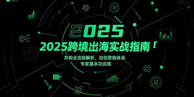 （15503期）2025跨境出海实战指南，并购全流程解析，自创营销体系，专家基本功训练-云商网创