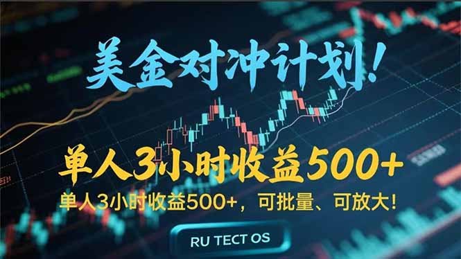 （15321期）长久稳定的撸美金项目，平均3小时收入 500+，可公司实地考察实地操作！-云商网创