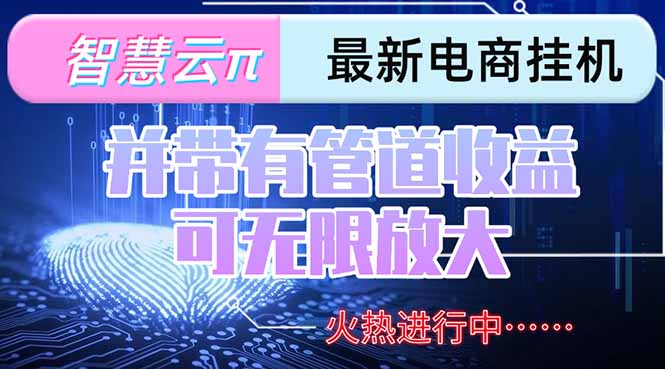 （15314期）智慧云π电脑挂机单机每天收益300—500+ 并带有团队管道收益 可无限放大-云商网创
