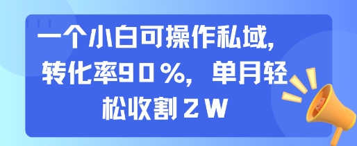 一个小白可操作私域，转化率90%，单月轻松收割2W-云商网创