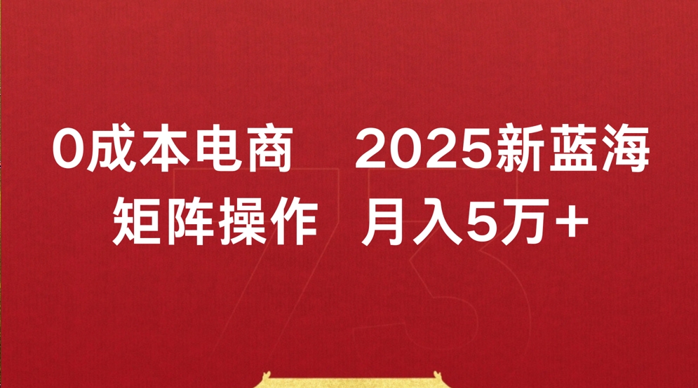 0成本电商2025新蓝海矩阵操作 月入5万+-云商网创