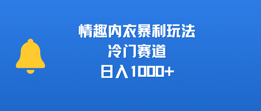 情趣内衣暴利玩法，冷门赛道，日入1000+-云商网创