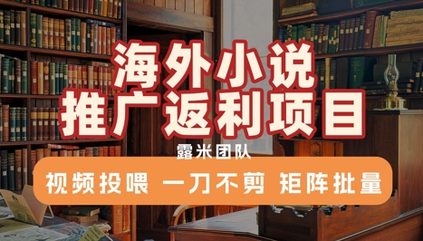 海外小说推广返利项目，视频投喂， 一刀不剪，矩阵批量-云商网创