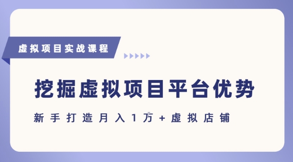 抓住虚拟项目各平台优势，新手轻松月入1W+(给出具体建议)-云商网创