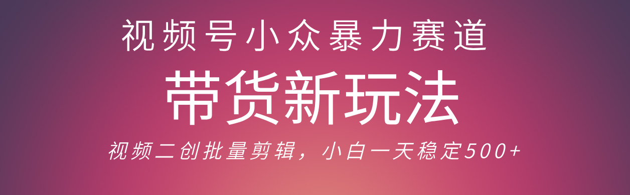 视频号小众暴力赛道，最新带货玩法 小白也能轻松日入500+ 保姆及教程-云商网创