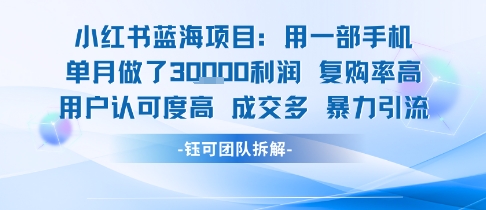 小红书蓝海项目，一部手机单月做了3W利润，小白也能月入过1W用户认可度高成交多-云商网创