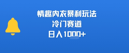 情趣内衣暴利玩法，冷门赛道，日入1k+-云商网创