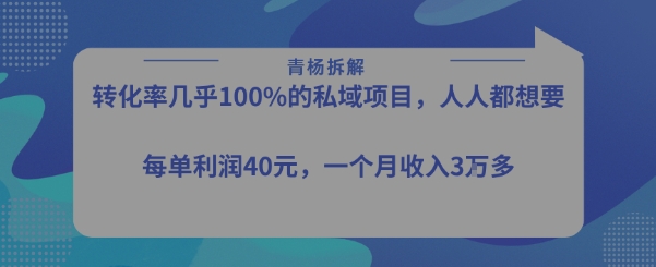 转化率最高的私域项目，每单利润40-50米，月入过1w-云商网创