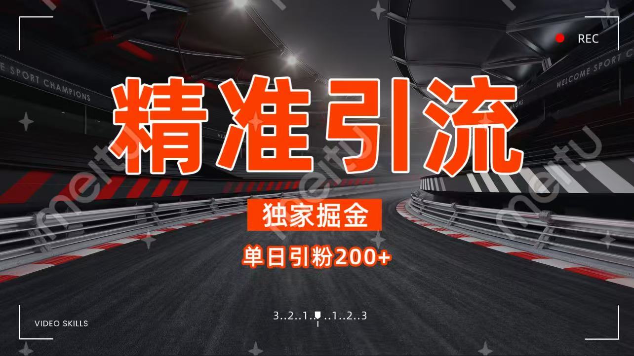 独家野路子精准引流 每日200+-云商网创