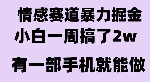 情感暴力掘金项目，新人操作一周挣了2W，长期稳定小白可做【揭秘】-云商网创