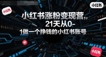 小红书涨粉变现营，21天从0-1做一个挣钱的小红书账号-云商网创