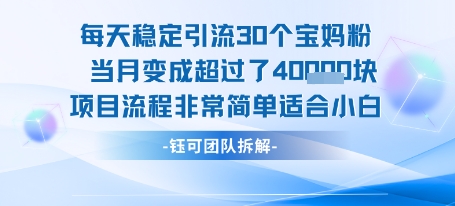 每天稳定引流30个人 当月变成超过了4个W项目流程非常简单适合小白-云商网创