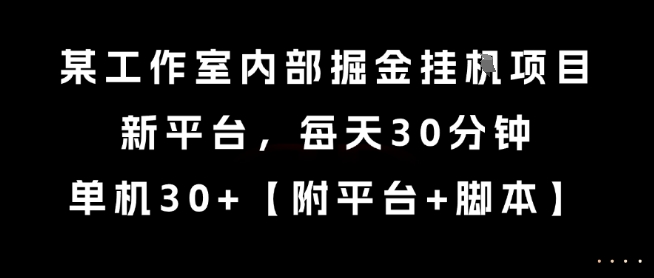 某工作室内部掘金挂G项目，新平台，每天30分钟，单机30+【揭秘】-云商网创
